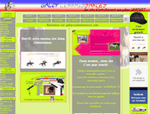 Tablet Screenshot of galop-connaissances.com